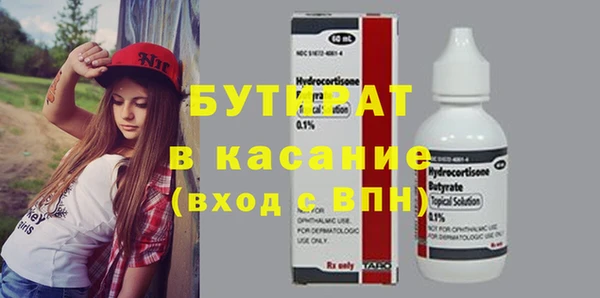 гашик Алексин