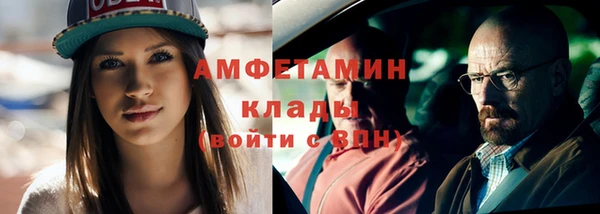 гашик Алексин