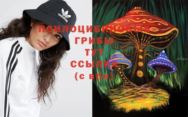 гашик Алексин