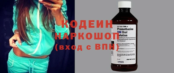 гашик Алексин