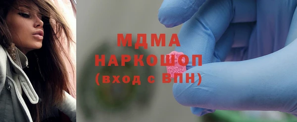 гашик Алексин