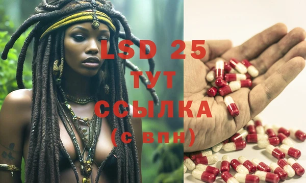 ECSTASY Армянск